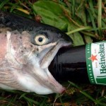 a fish drinking a beer